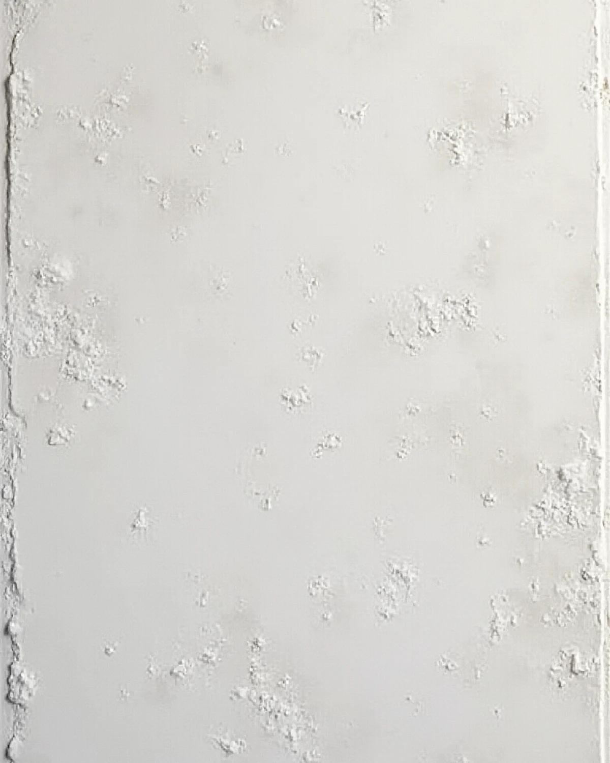 Terra Calma
